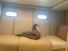 Philippines Explorer II — Comfort Single Cabin
