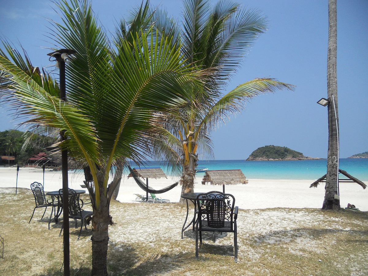 Palm trees and a hammock beside the beach on Redang Island