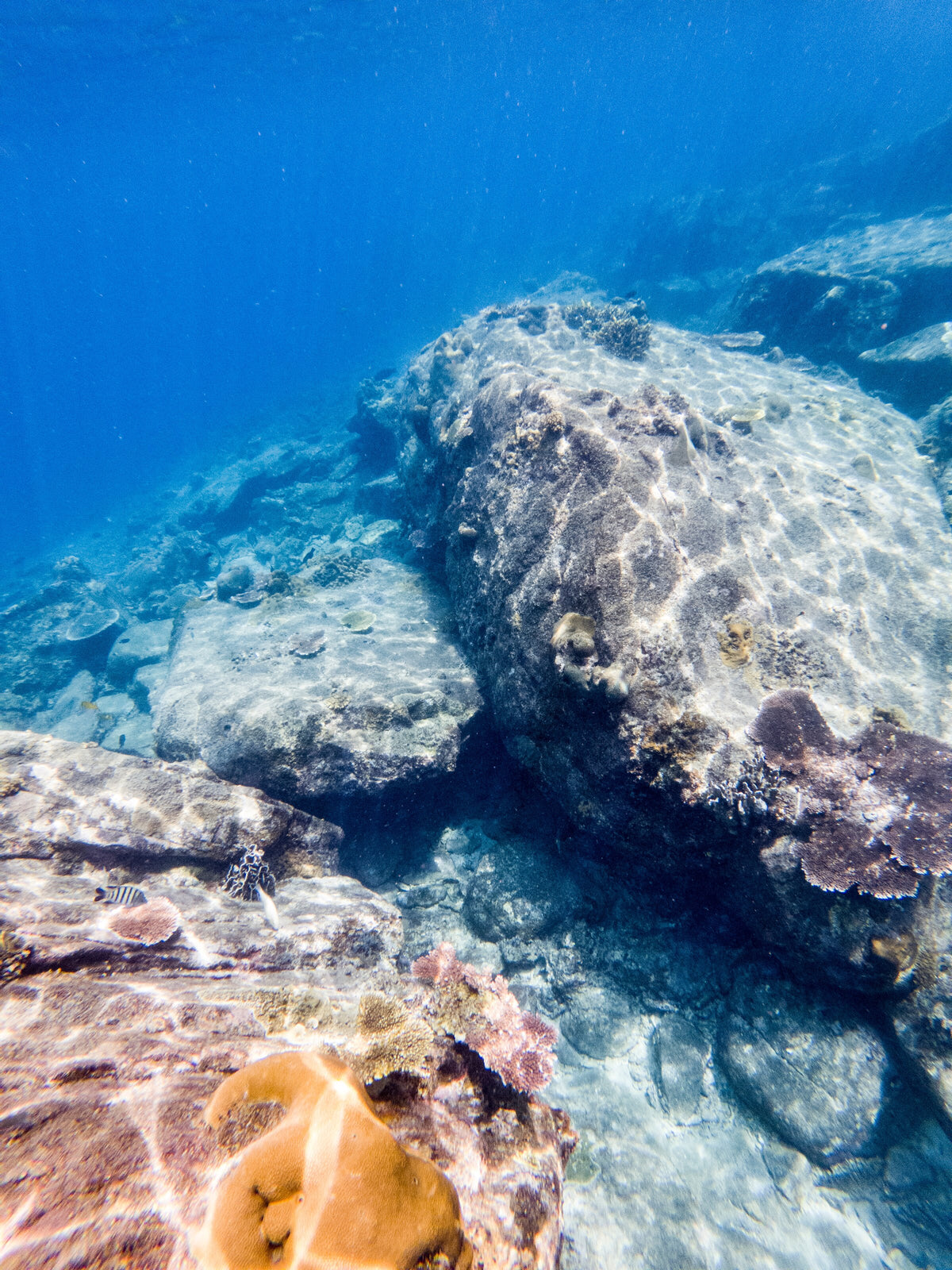 Sunlight over submerged rocks in the shallow waters of Redang Island, Malaysia