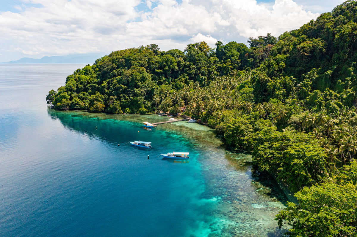 Forested shoreline at Sali Bay Resort