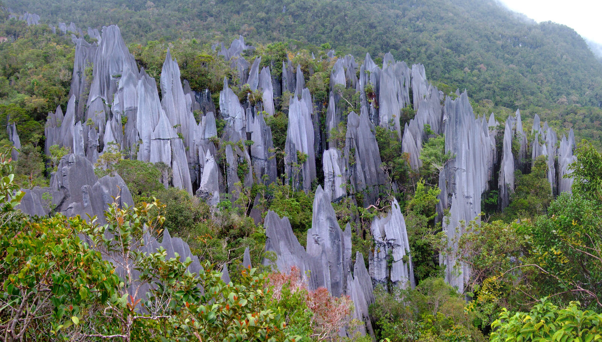 Limestone Pinnacles rising above the forest in Gunung Mulu National Park, Sarawak, Borneo