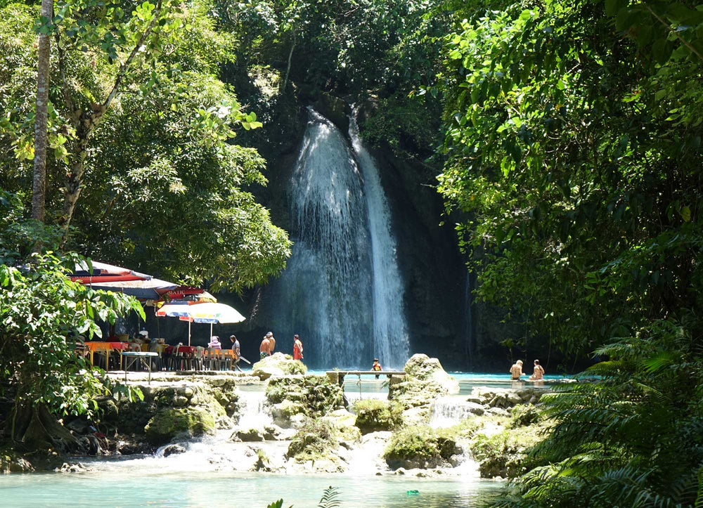 Kawasan Waterfalls Day Trip
