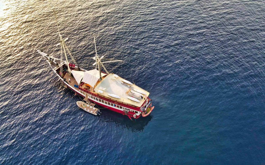 The Seven Seas