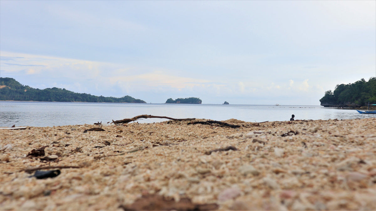Sand and coastal scenery at Bugana Beach in Sipalay, Negros, Philippines