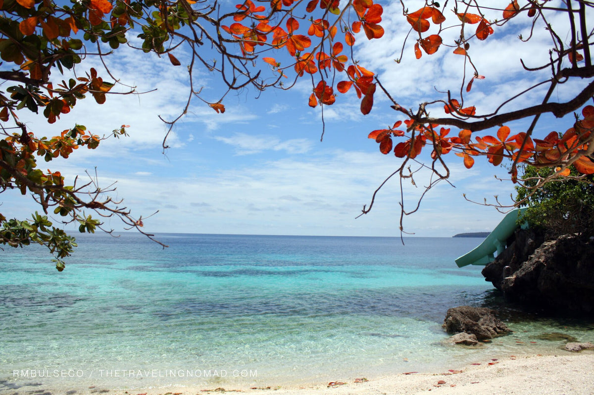 Clear water and flowering trees at Salagdoong Beach, Siquijor