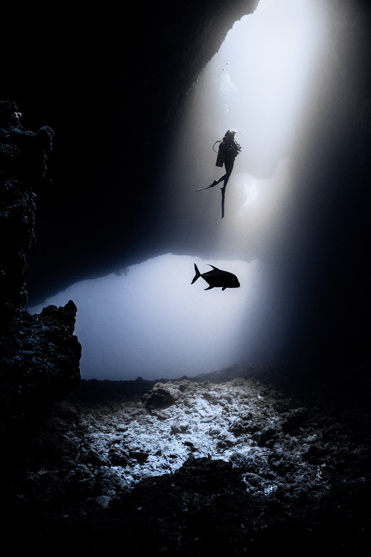 Solitude Gaia Palau — Palau 10N - (SG)