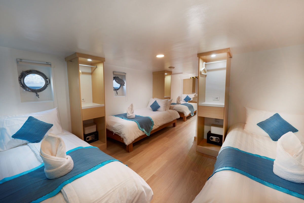 Solitude One — Quad Cabin
