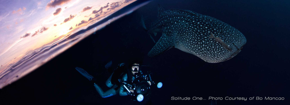 Solitude One — Tubbataha / Cebu - 13N (S1)