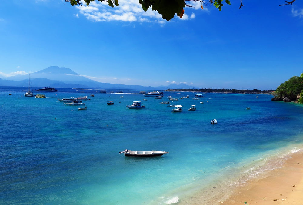 Tamarind Divers — Nusa Lembongan