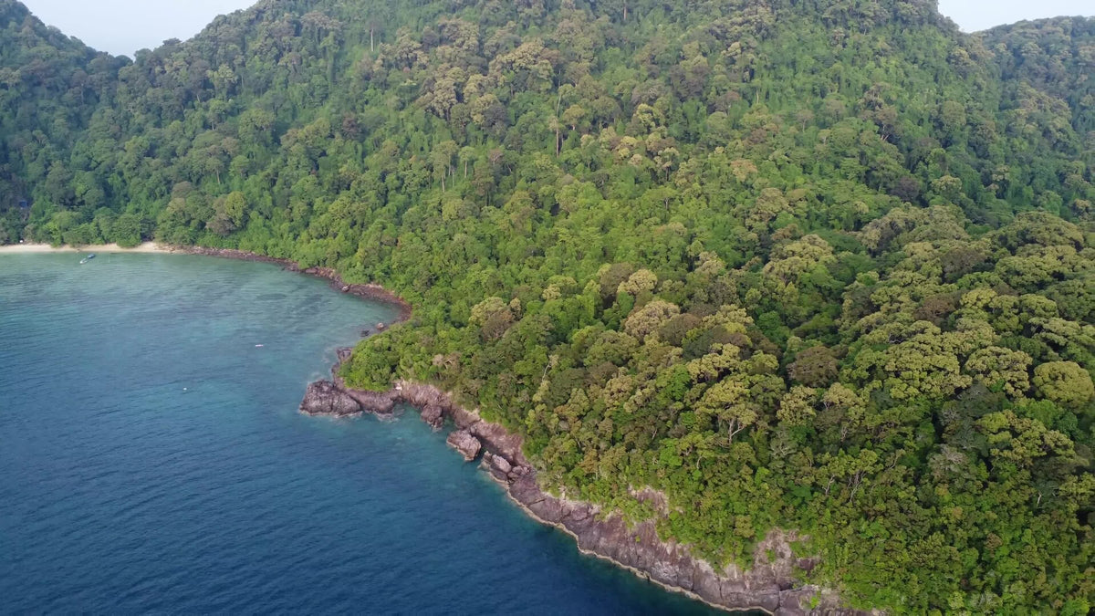 Rainforest and a small bay along Tenggol Island
