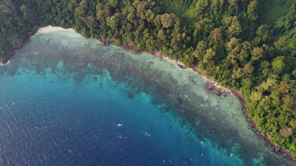 Aerial view of a forested cove and shallow reef at Tenggol Island