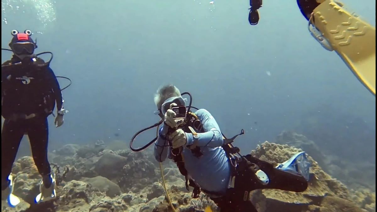 Scuba divers above the reef at Tenggol Island