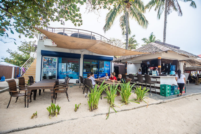 Thresher Shark Divers / Blanco Beach Resort