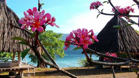 Tiare — Komodo - Alor — Labuan Bajo to Kalabahi — 9 Nights