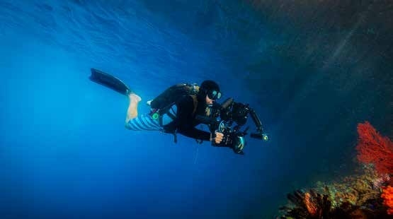 Tiare — Ambon, Banda Islands & Raja Ampat — Ambon to Sorong — 11 Nights