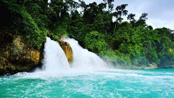 Tiare — Raja Ampat Triton Bay — Sorong to Kaimana — 14 Nights
