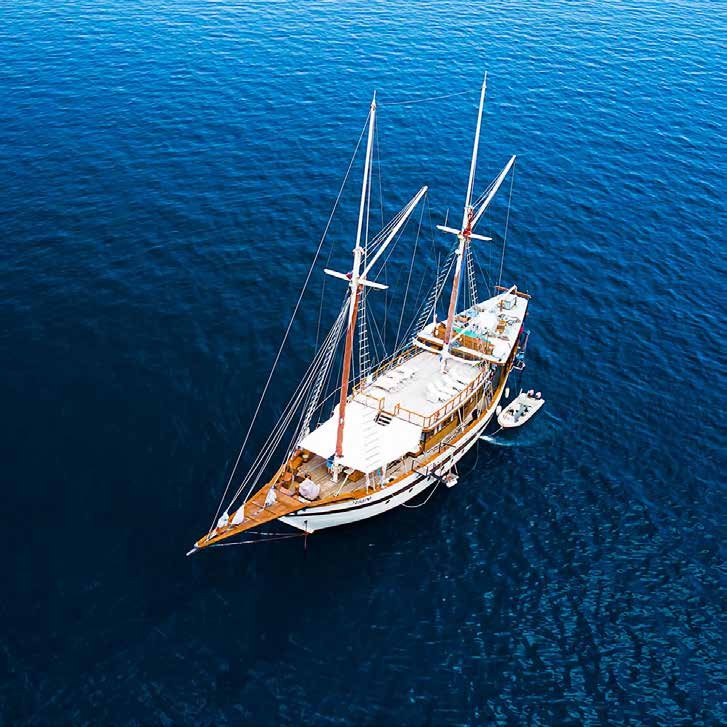 Tiare — Halmahera - Misool - Raja Ampat — Ternate to Sorong — 12 Nights