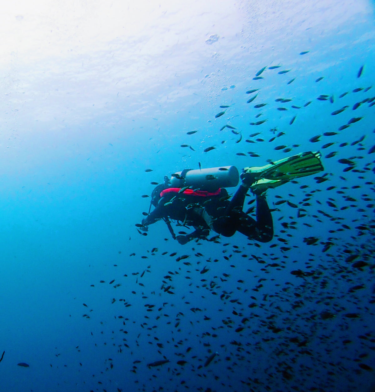 Scuba diver surrounded by reef fish in the waters of Tioman Island, Malaysia
