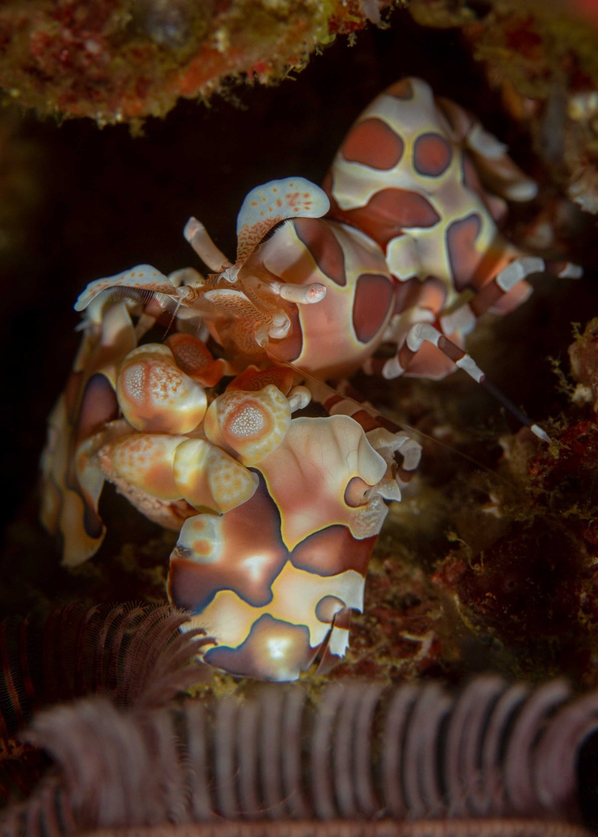Triton Bay