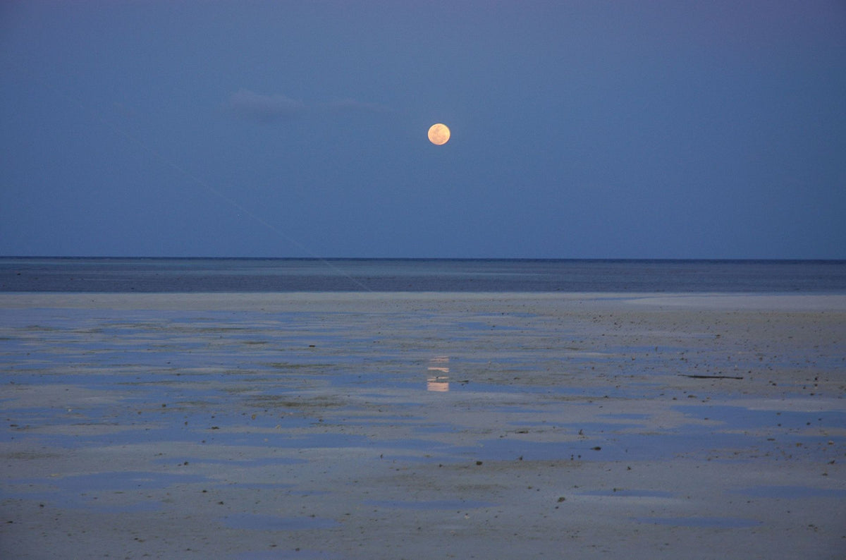 Moon above shallow reef waters at Tubbataha