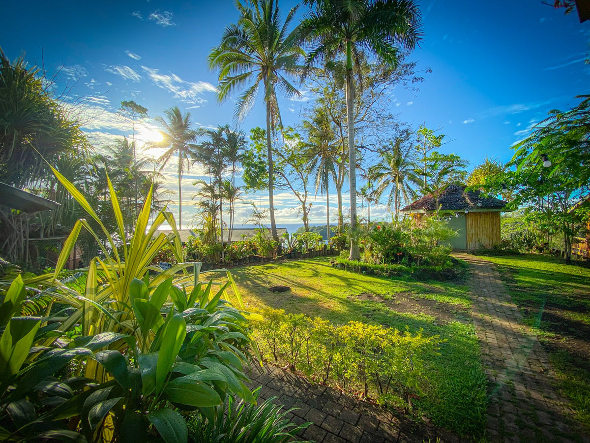Deluxe Bungalow