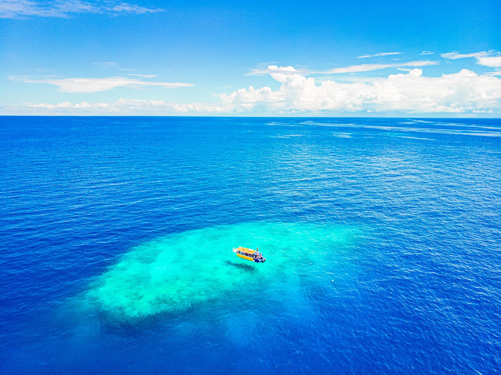 Tufi Offshore Reef Diving