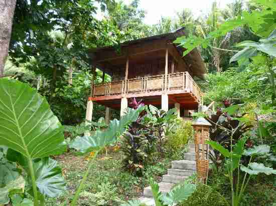 Superior Cottage at Two Fish Divers Lembeh - view 3