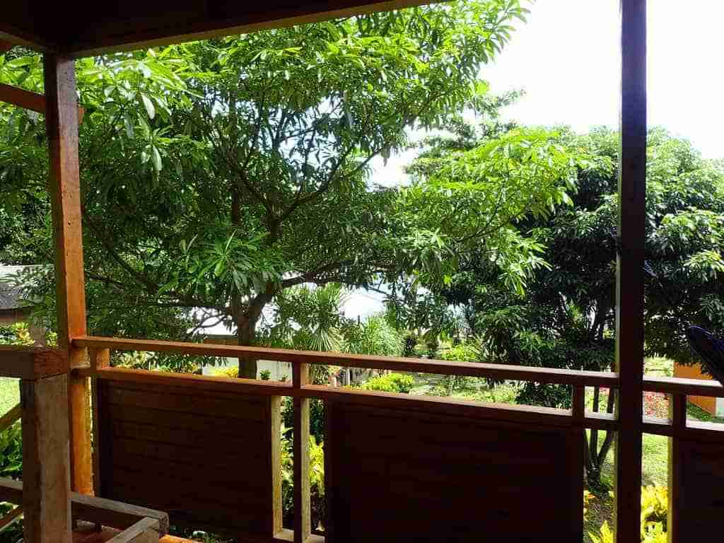 Superior Cottage at Two Fish Divers Lembeh - view 4