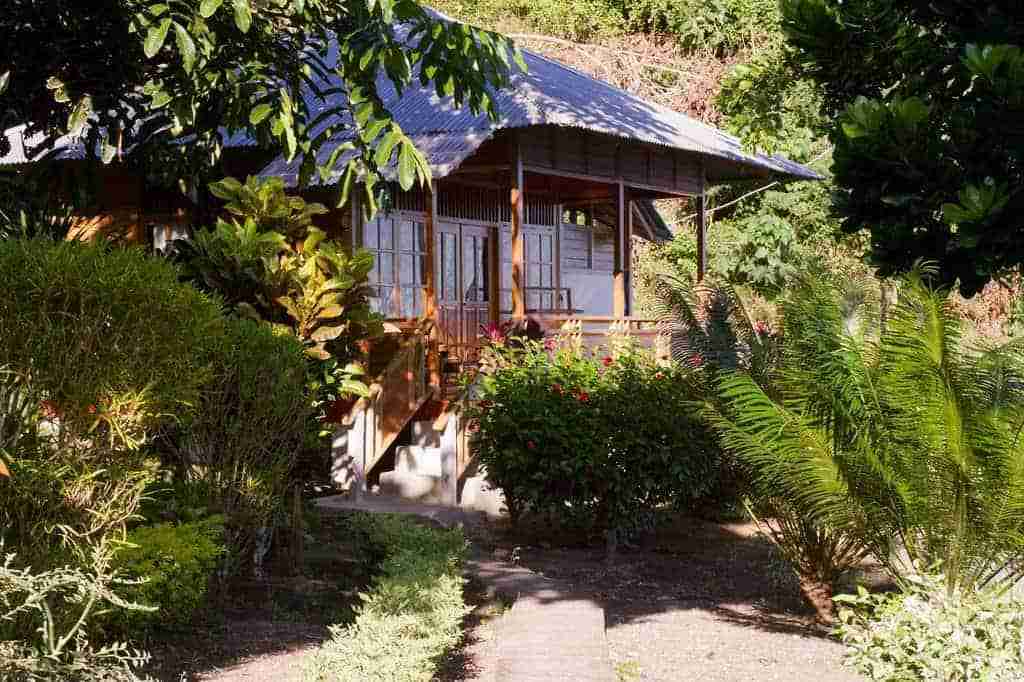Superior Cottage at Two Fish Divers Lembeh - view 5