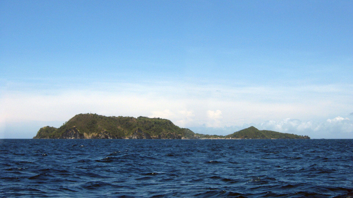 Apo Island seen from the sea off Negros Oriental