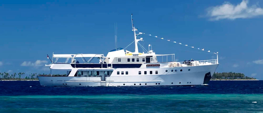 Pelagian Dive Yacht